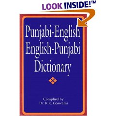 Cover image for Punjabi-English English-Punjabi Dictionary