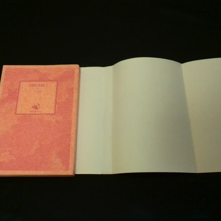 Cover image for Kiken na sōzokunin = 危険な相続人 = Danger...