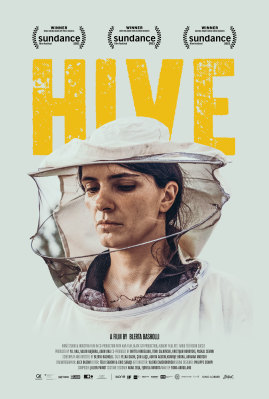 Cover image for Hive = Zgjoi